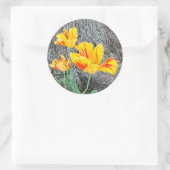 Drie gele Tulpen Sequel / Ronde Sticker (Tas)