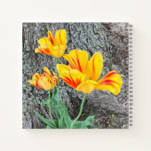 Drie gele Tulpen Sequel / Schets Notitieboek (Achterkant)