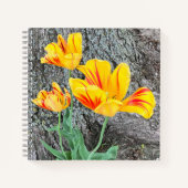 Drie gele Tulpen Sequel / Schets Notitieboek (Voorkant)