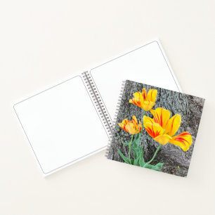 Drie gele Tulpen Sequel / Schets Notitieboek