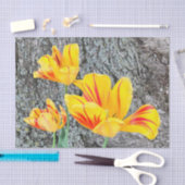 Drie gele Tulpen Sequel / Tissuepapier (Craft)