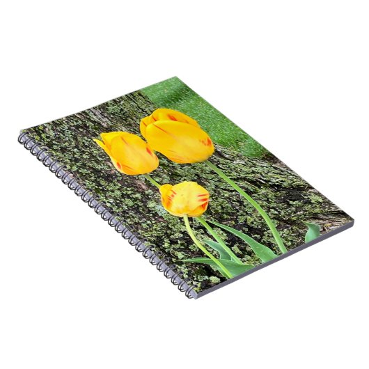 Drie gele Tulpen / Spiral Notitieboek (Rechterzijde)