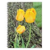 Drie gele Tulpen / Spiral Notitieboek (Voorkant)