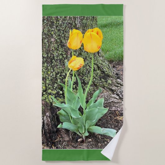 Drie gele tulpen / strandlaken (Voorkant)