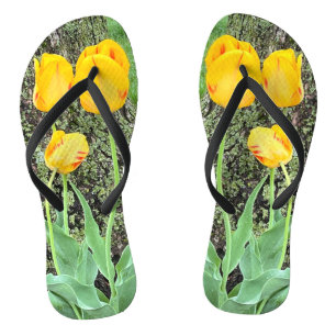Drie gele tulpen / teenslippers