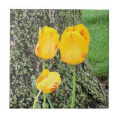 Drie gele tulpen / tegeltje (Voorkant)