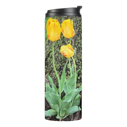 Drie gele tulpen / thermosbeker (Gedraaid links)