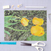 Drie gele tulpen / tissuepapier (Craft)