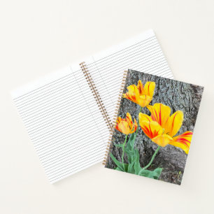 Drie gele Tulps Sequel / Journal Notitieboek