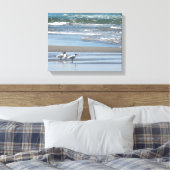 Drie gemeenschappelijke terns Waterverf verpakte c Canvas Afdruk (Insitu (Slaapkamer))