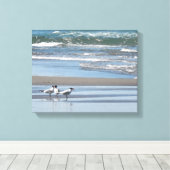 Drie gemeenschappelijke terns Waterverf verpakte c Canvas Afdruk (Insitu (Houten vloer))