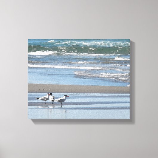 Drie gemeenschappelijke terns Waterverf verpakte c Canvas Afdruk (Voorkant)