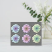 Drie Gerbera Daisy Briefkaart (Staand voorkant)