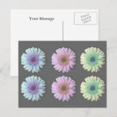 Drie Gerbera Daisy Briefkaart (Voorkant / Achterkant)