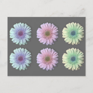 Drie Gerbera Daisy Briefkaart
