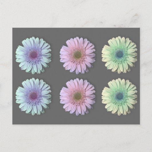 Drie Gerbera Daisy Briefkaart (Voorkant)