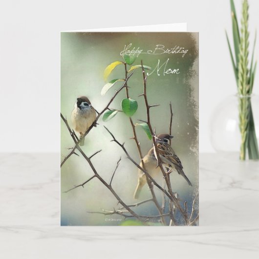 Drie geverfde zangvogels Verjaardag Kaart voor mam (Voorkant)