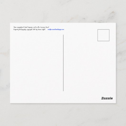 Drie Giant Saguaro cacti met blauwe lucht en wolke Briefkaart (Achterkant)