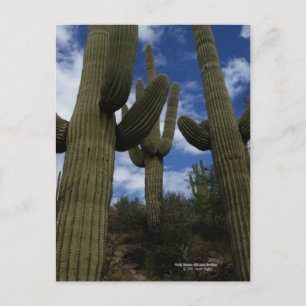 Drie Giant Saguaro cacti met blauwe lucht en wolke Briefkaart