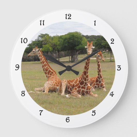 Drie Giraffe bij Fossil Rim Wall Clack Grote Klok (Voorkant)