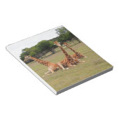 Drie Giraffe op Fossil Rim Notitieblok (Schuin)