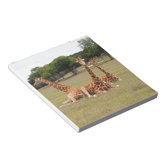 Drie Giraffe op Fossil Rim Notitieblok (Schuin)