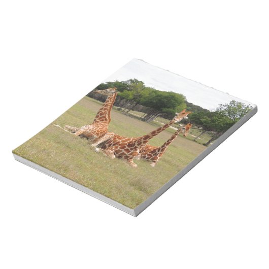 Drie Giraffe op Fossil Rim Notitieblok (Linkerzijde)