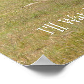 Drie Giraffe op Fossil Rim Poster (Hoek)