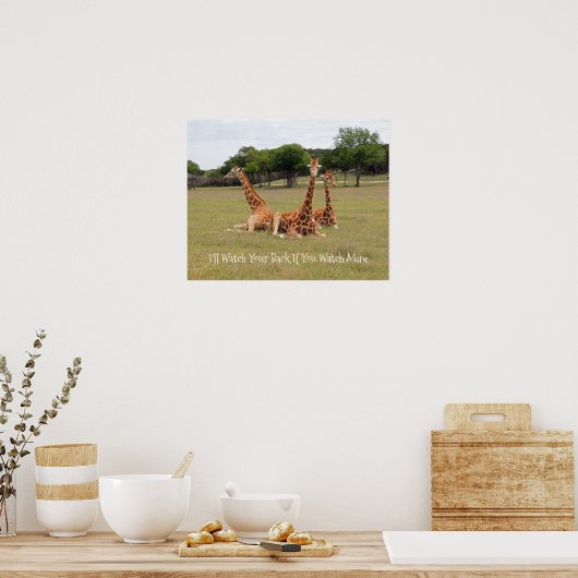 Drie Giraffe op Fossil Rim Poster (Keuken)