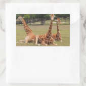 Drie Giraffe op Fossil Rim Rechthoekige Sticker (Tas)