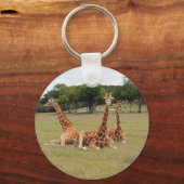 Drie Giraffe op Fossil Rim Sleutelhanger (Voorkant)