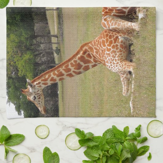 Drie Giraffe op Fossil Rim Theedoek (Gevouwen)