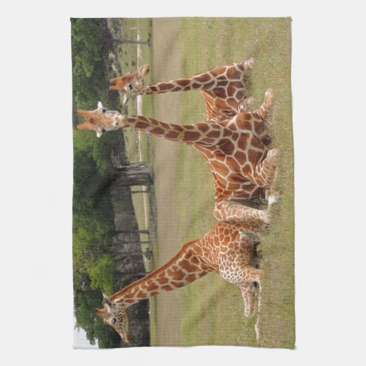 Drie Giraffe op Fossil Rim Theedoek (Verticaal)