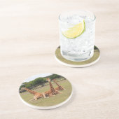 Drie Giraffe op Fossil Rim Zandsteen Onderzetter (Zijkant)