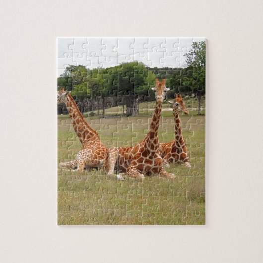 Drie giraffen bij Fossil Rim Legpuzzel (Verticaal)