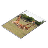 Drie giraffen bij Fossil Rim Notitieboek (Linkerzijde)