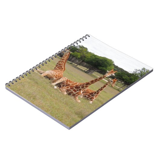 Drie giraffen bij Fossil Rim Notitieboek (Linkerzijde)