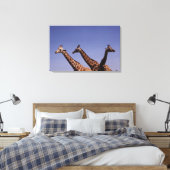 Drie giraffen canvas afdruk (Insitu (Slaapkamer))
