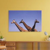 Drie giraffen canvas afdruk (Insitu (Woonkamer))