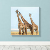Drie giraffen die poseren canvas afdruk (Insitu (Houten vloer))