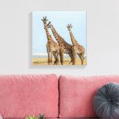 Drie giraffen die poseren canvas afdruk (Insitu (Woonkamer))