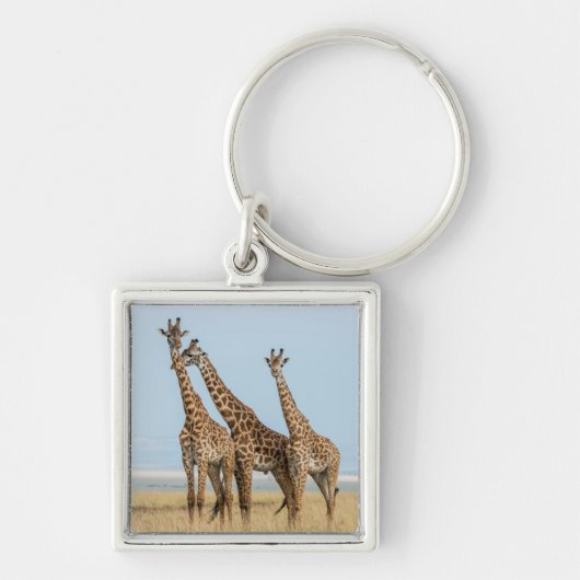 Drie giraffen die poseren sleutelhanger (Voorkant)