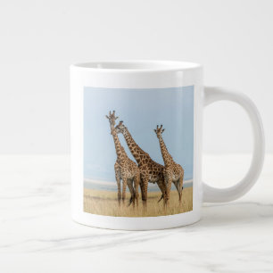 Drie giraffen poseren grote koffiekop