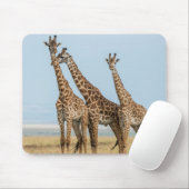 Drie giraffen poseren muismat (Met muis)