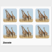 Drie giraffen poseren vierkante sticker (Vel)
