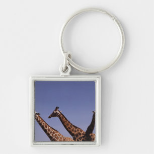 Drie giraffen sleutelhanger