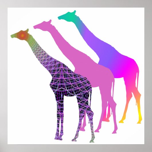 Drie Giraffes Ontwerp 4 Poster (Voorkant)
