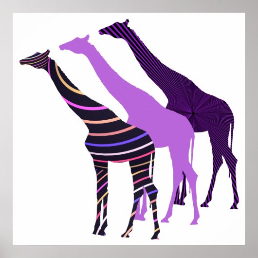 Drie Giraffes Ontwerp 5 Poster (Voorkant)