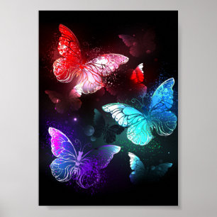 Drie golvende Butterflies op nachtachtergrond Poster
