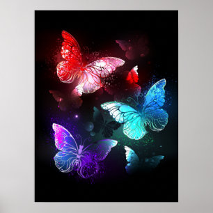 Drie golvende Butterflies op nachtachtergrond Poster